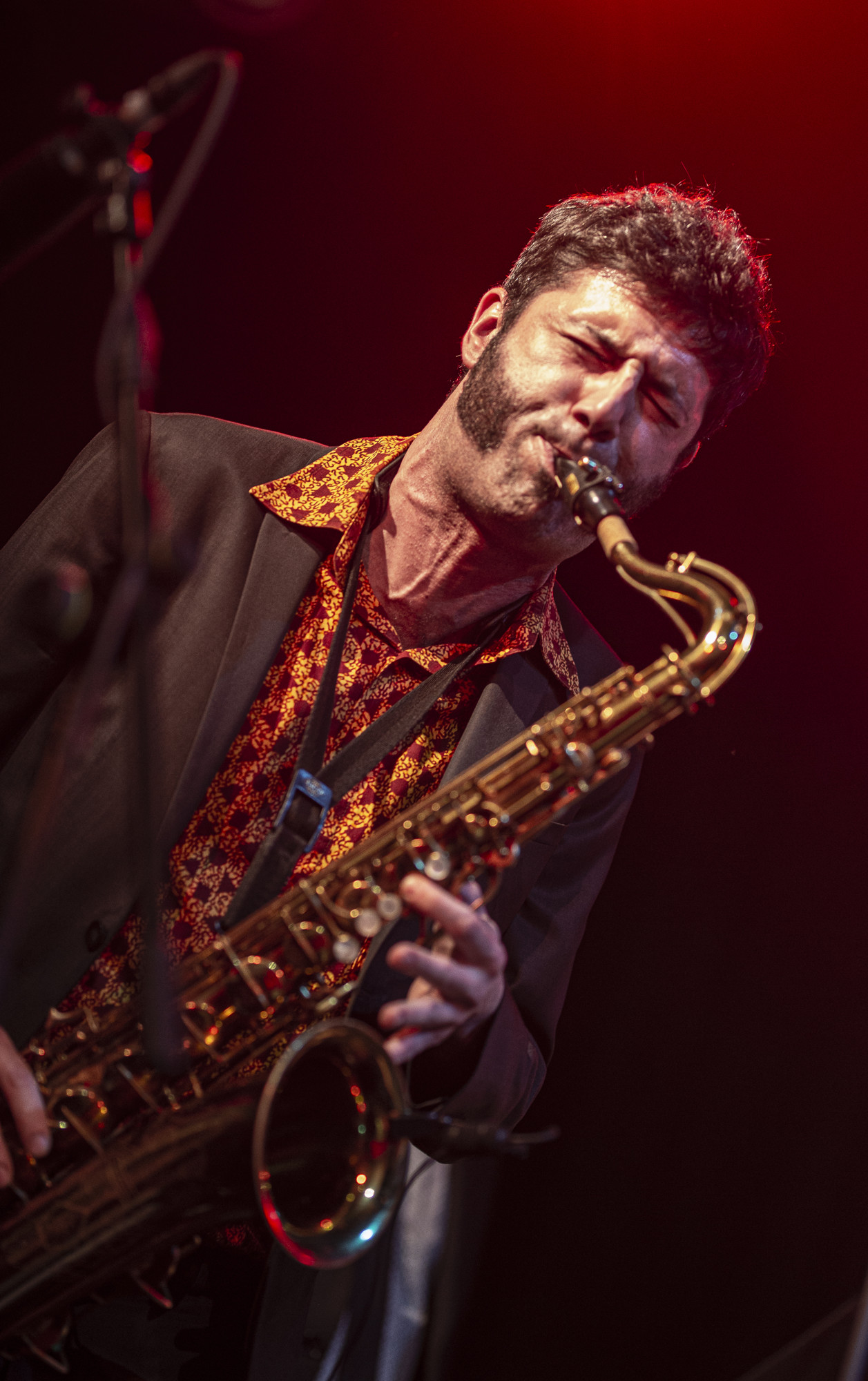Javier Jimeno, Fotografía profesional y de autor. Torrelodones, Madrid - mg-3339.jpg